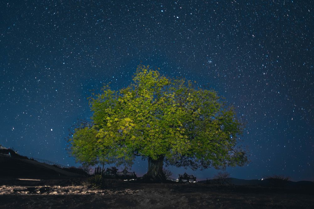 Photograph by Javier Robles