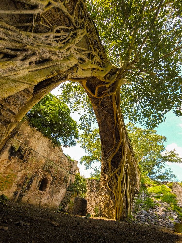 Photograph by Javier Robles