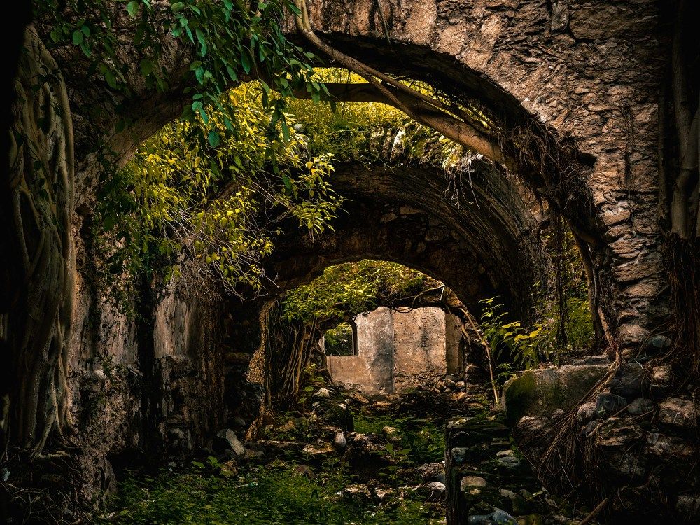 Photograph by Javier Robles