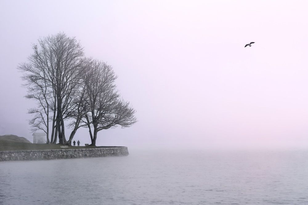 Photograph by Marina Poushkina