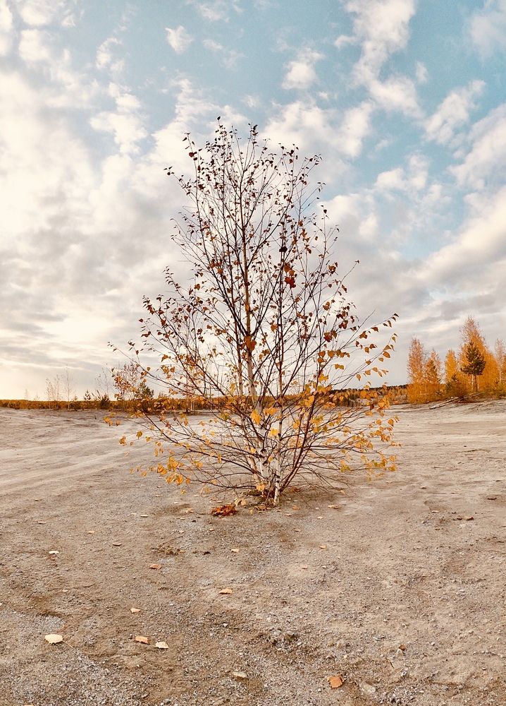 Photograph by Юлия