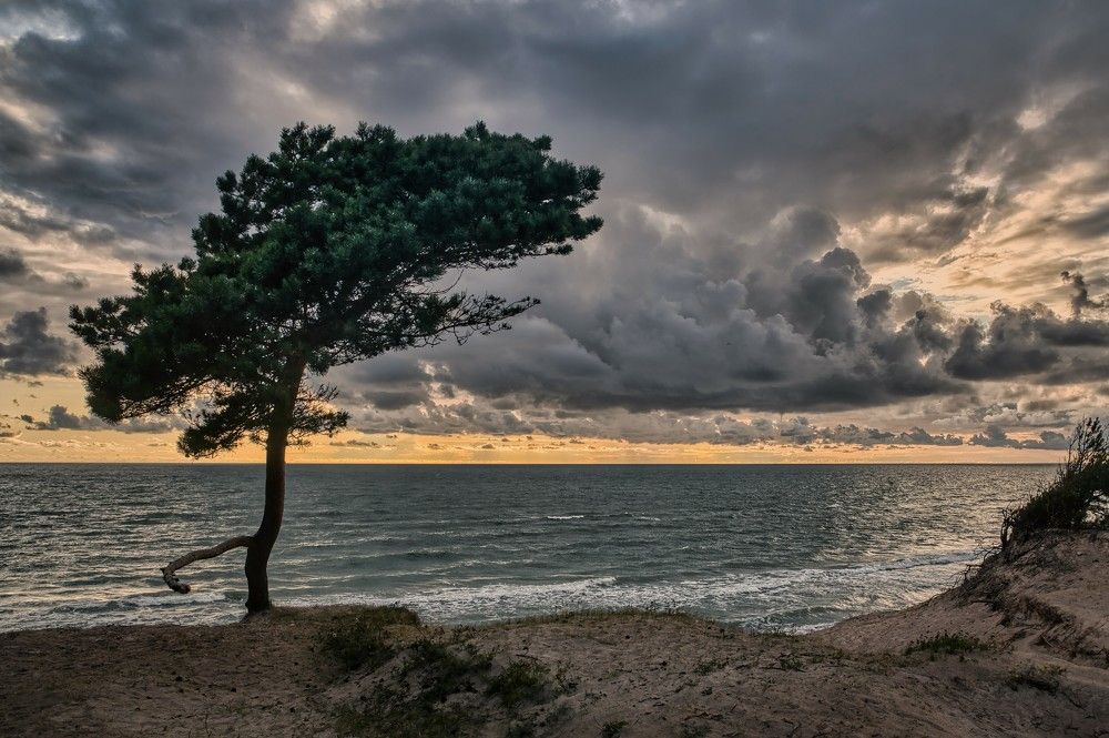 Photograph by Janis Serdienis