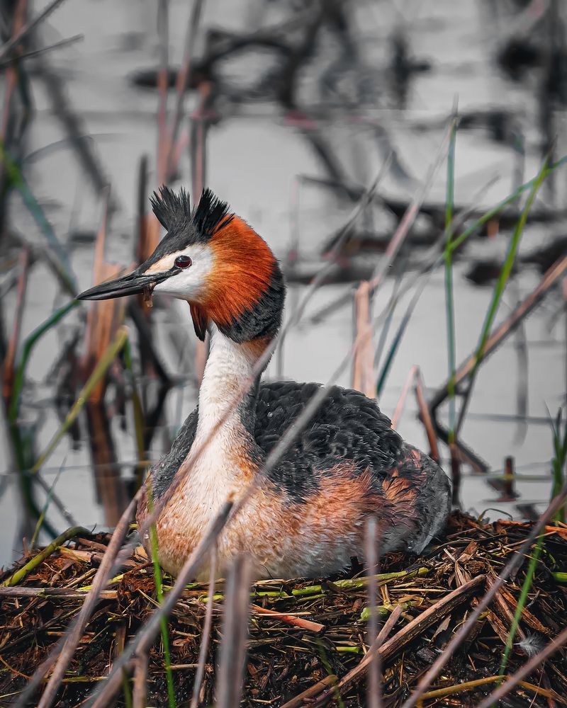 Photograph by Олег Белан