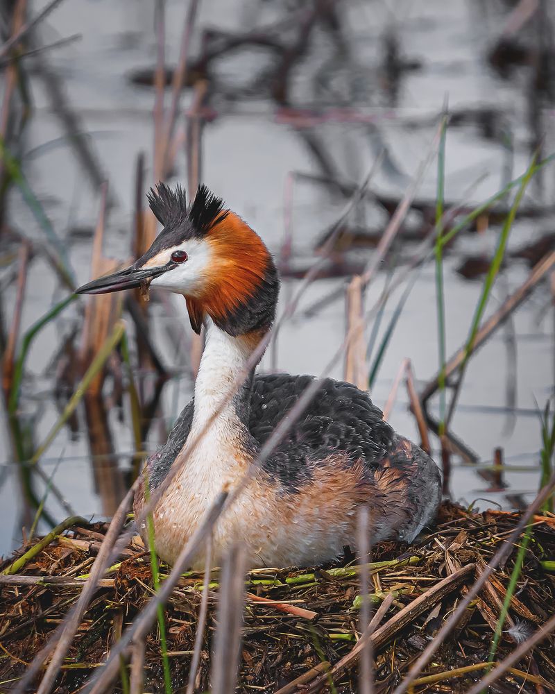 Photograph by Олег Белан