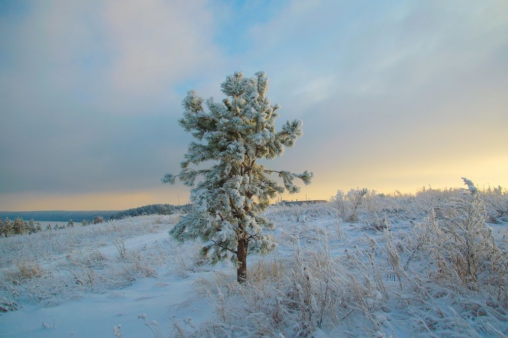 Photograph by Василий Быстрицкий