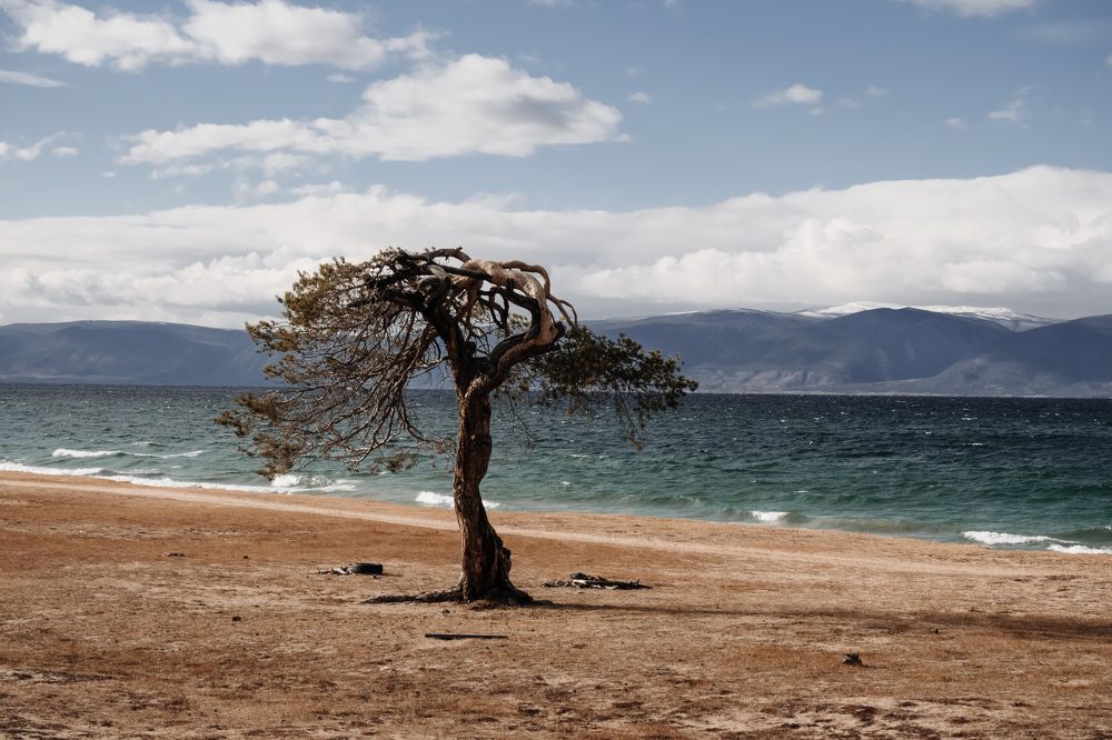 Photograph by Наталия Софич