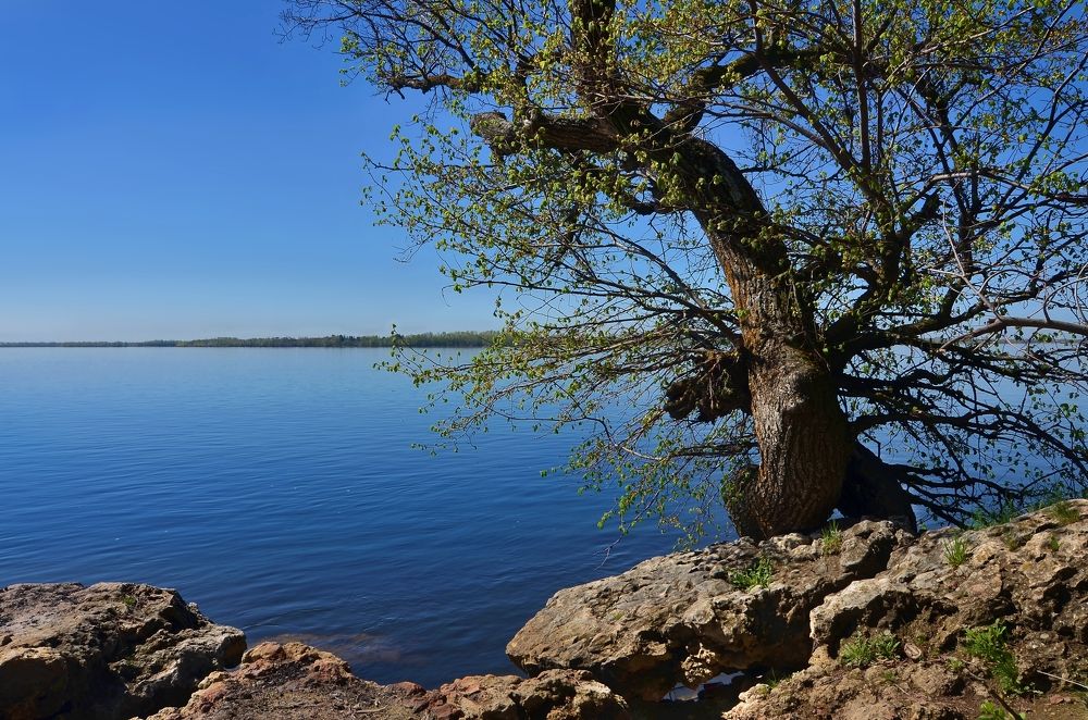 Photograph by Наталья Иванова