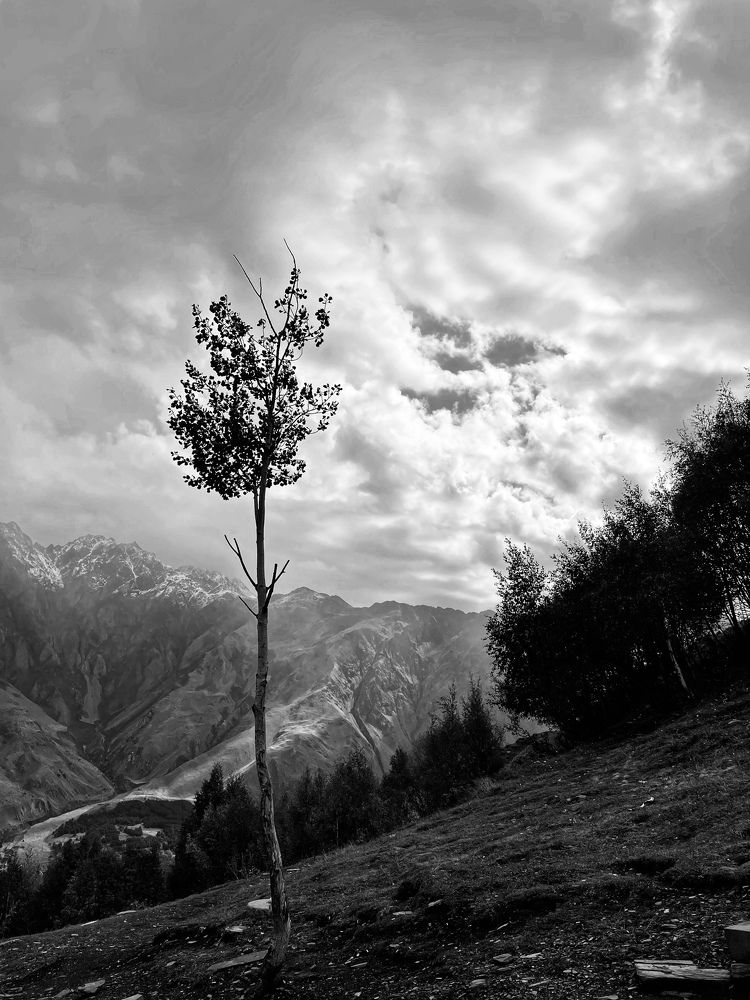 Фотография автора Nadezhda