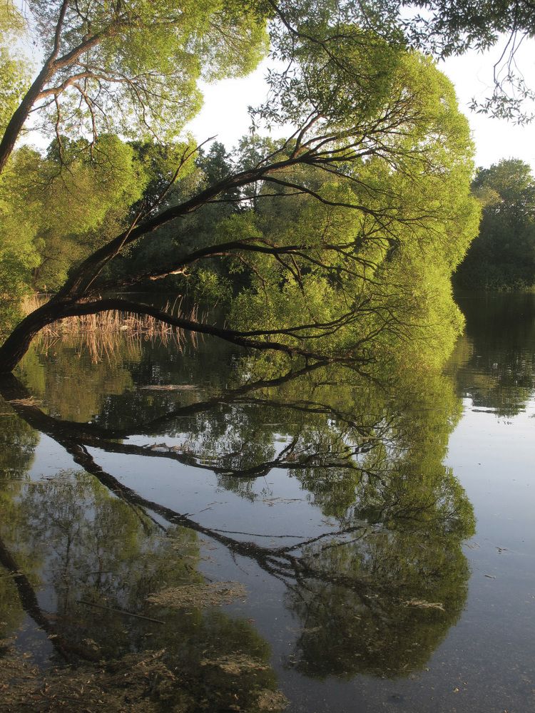 Photograph by Анастасия Пухова