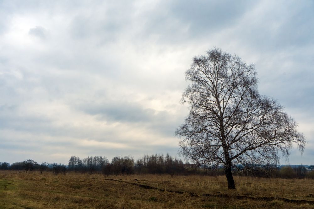 Photograph by Александр Пургин