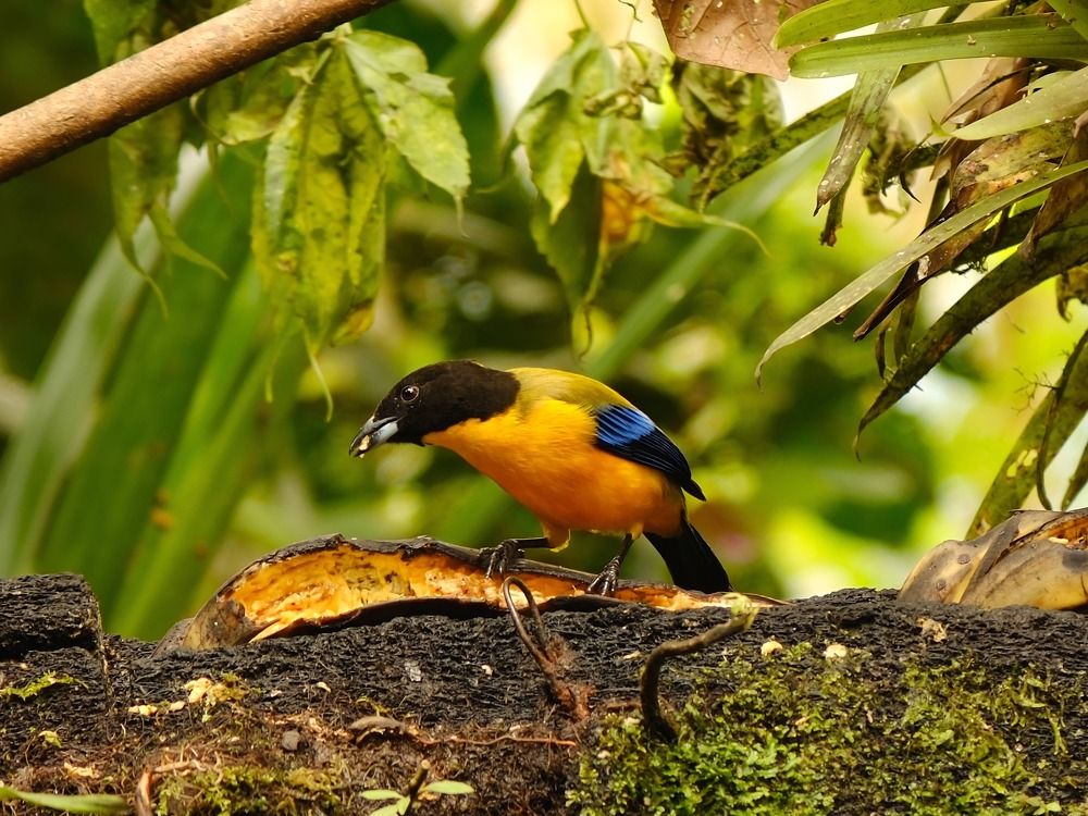 Photograph by Дарья Гаврилова