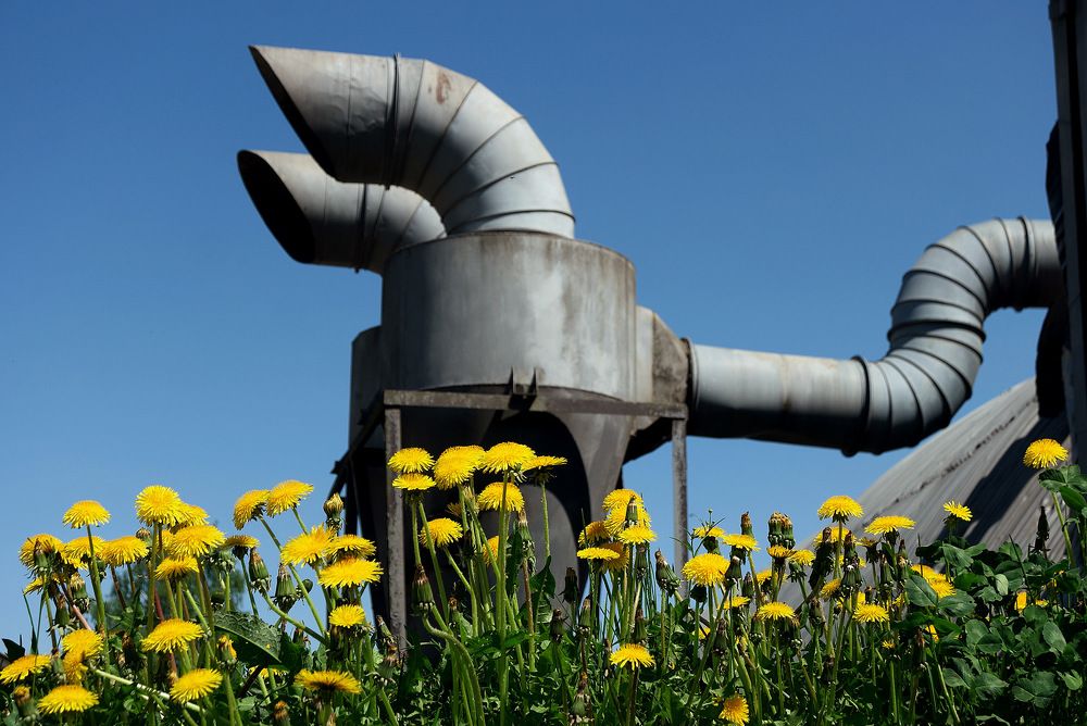 Готовимся дуть на одуванчики