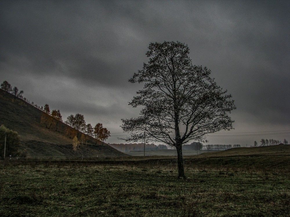 Photograph by Алексей Логинов