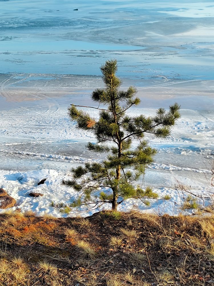 Photograph by Елена Шишкина