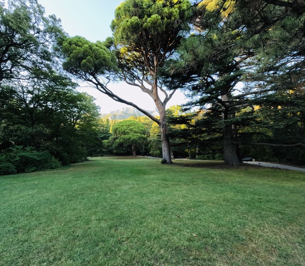 Photograph by Татьяна Казанкова