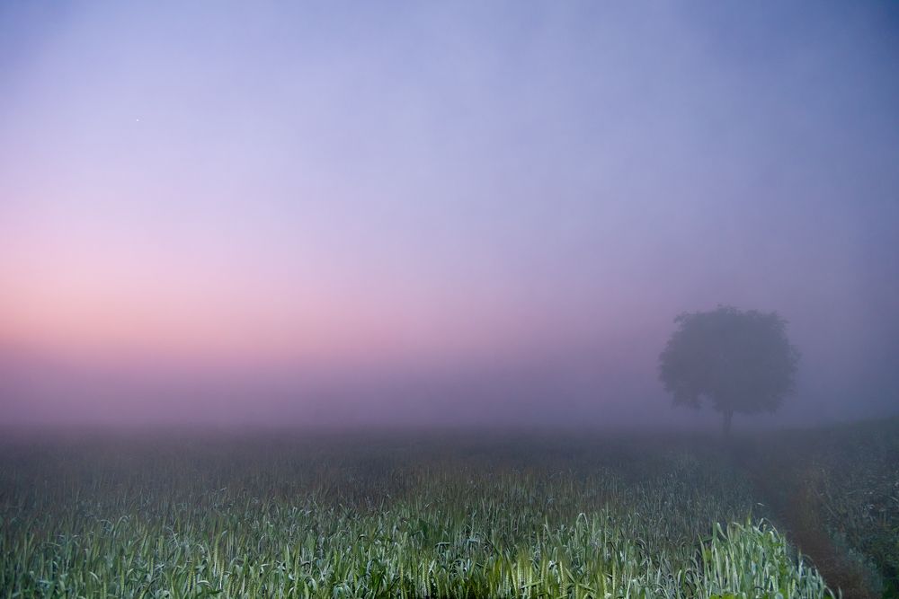 Photograph by Chetan Verma