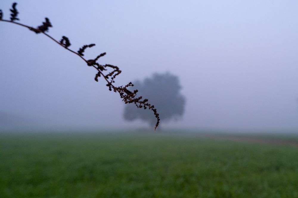 Photograph by Chetan Verma