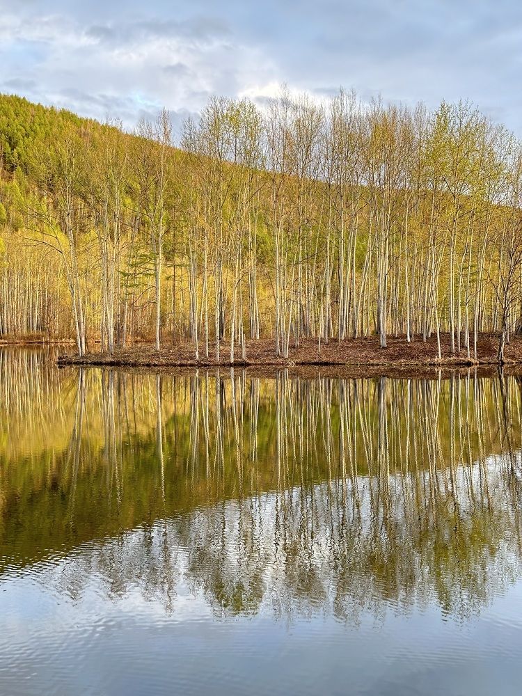 Photograph by Татьяна Казанкова