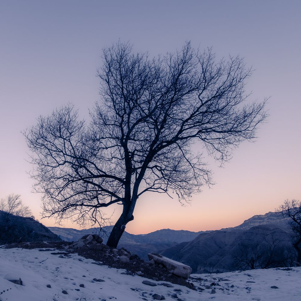 Photograph by Dmitry Ishniyazov