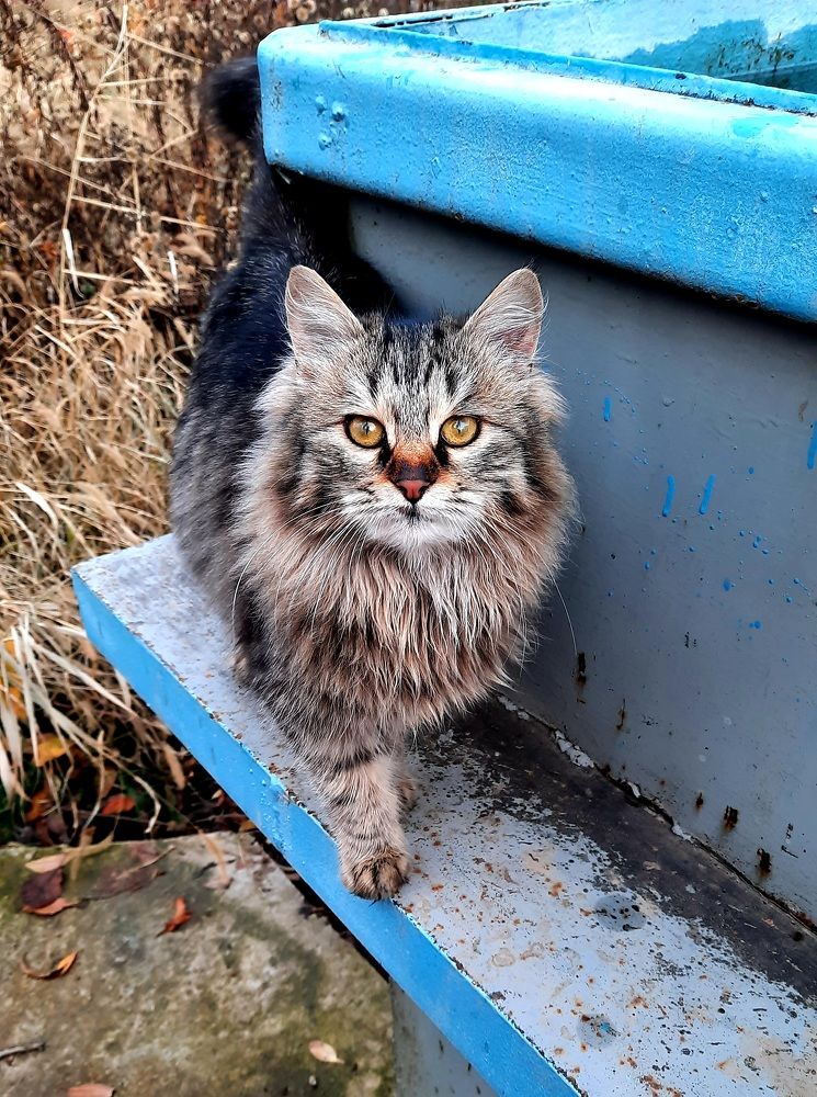 Фотография автора Южный Взгляд