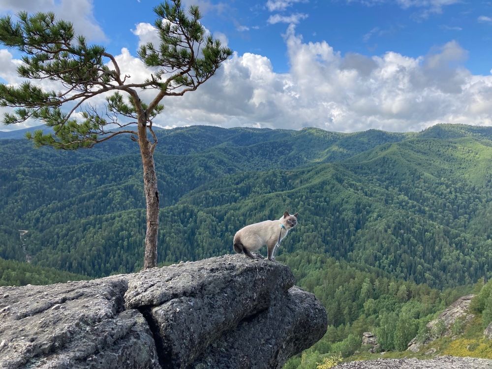 Фотография автора Наталья Пасечко
