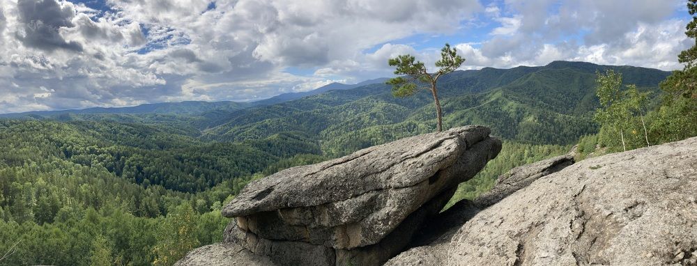 Фотография автора Наталья Пасечко