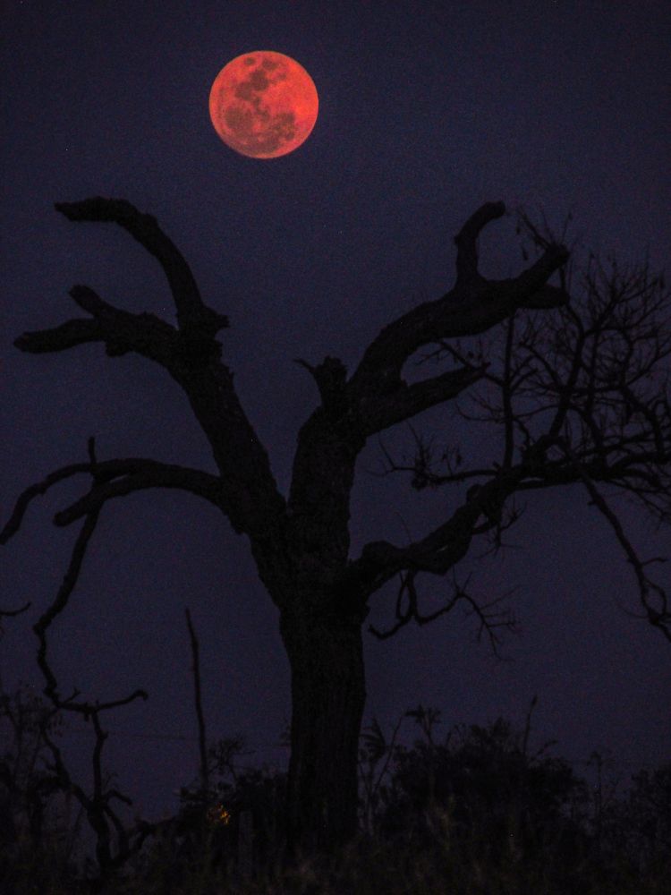 Photograph by Régis Santos