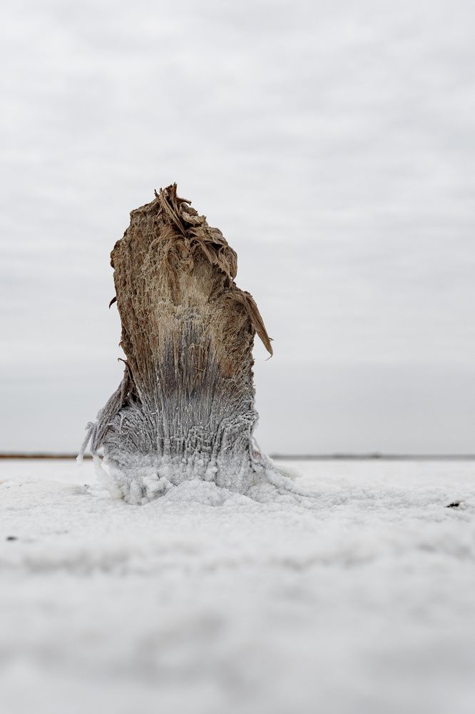 Фотография автора Александр Леонтьев