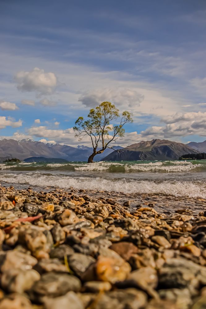 Photograph by 24y6C11 CHIM DONG HAN