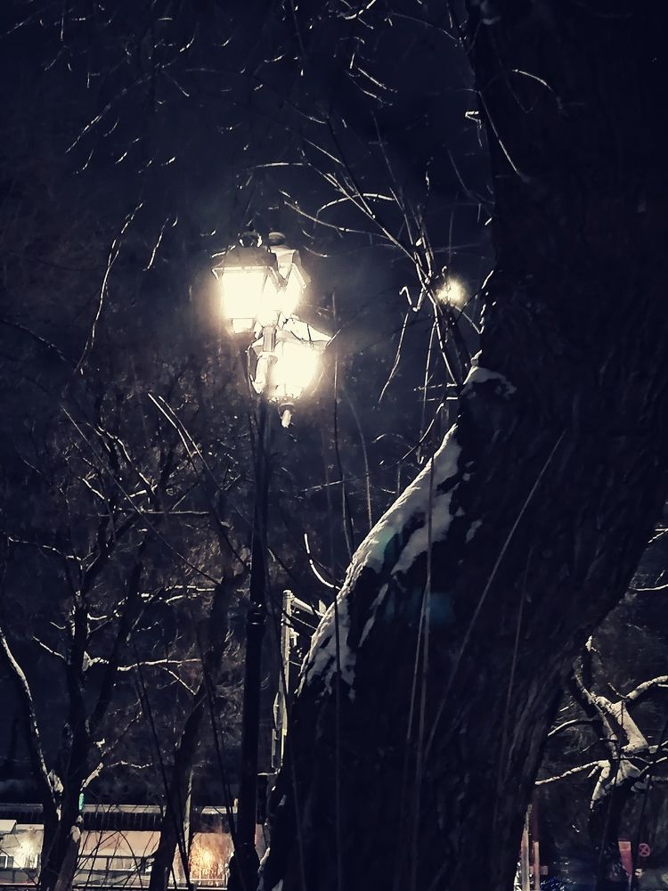 Photograph by Алексей Титков