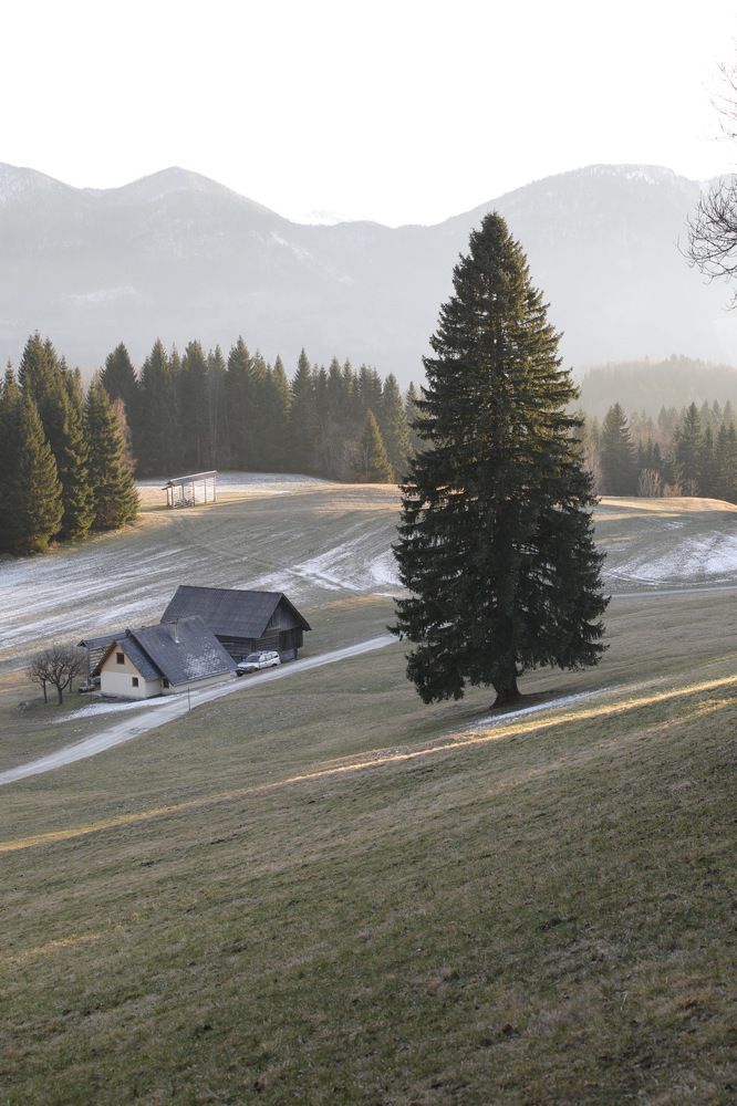 Photograph by Ольга Одаренко