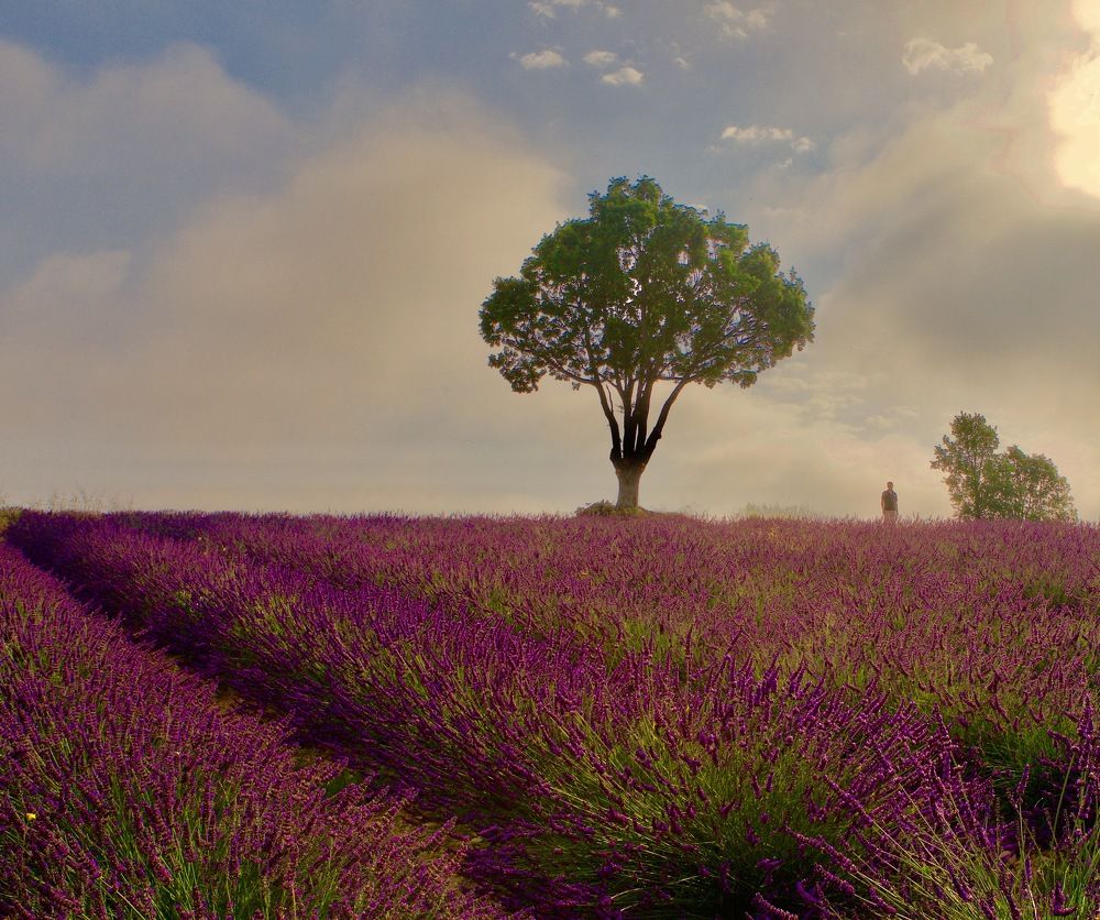 Photograph by Ольга Одаренко