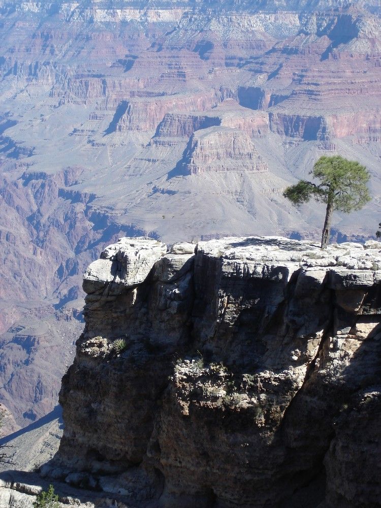 Photograph by Ирина Орлова