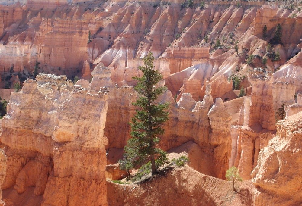 Photograph by Ирина Орлова