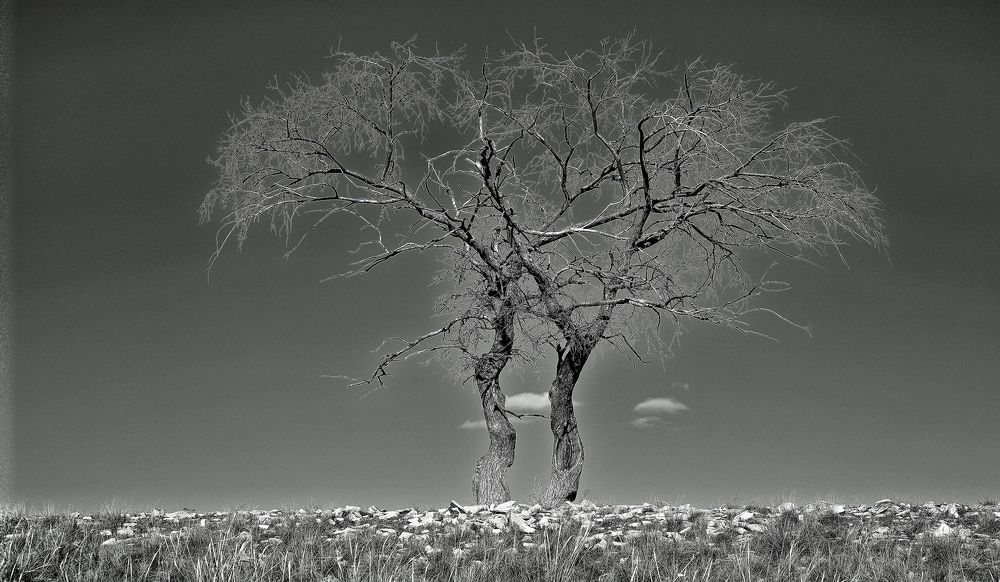 Photograph by Сергей Жданов