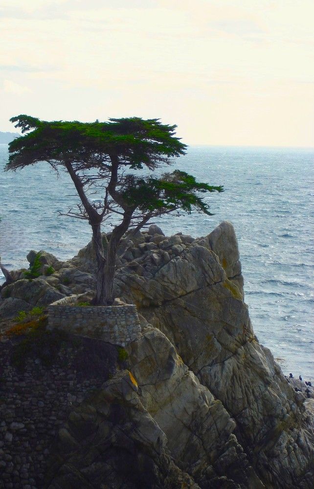 Photograph by Ирина Орлова