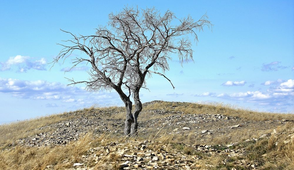 Photograph by Сергей Жданов