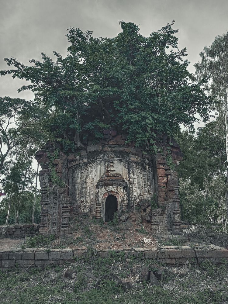 Photograph by Souvik Bhattacharyya