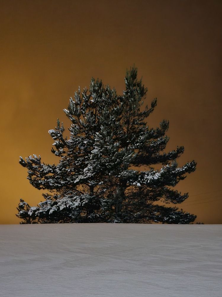 Photograph by Елена Ямнюк