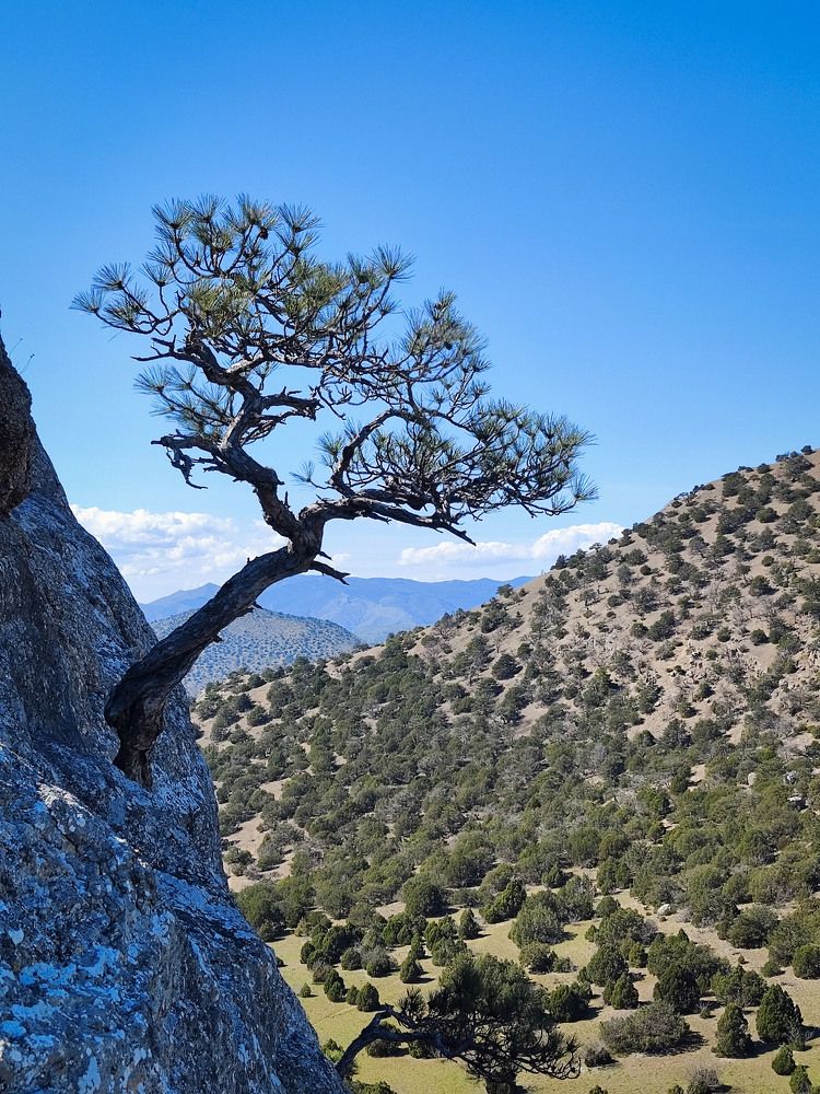 Photograph by Ирина Ри