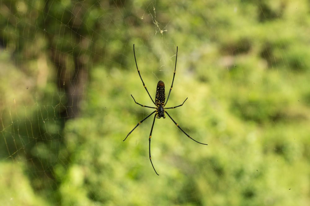 Photograph by Виктор Петров