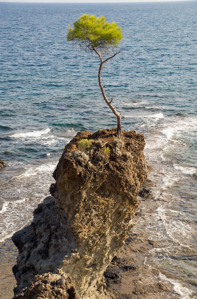 Photograph by Виктор Петров