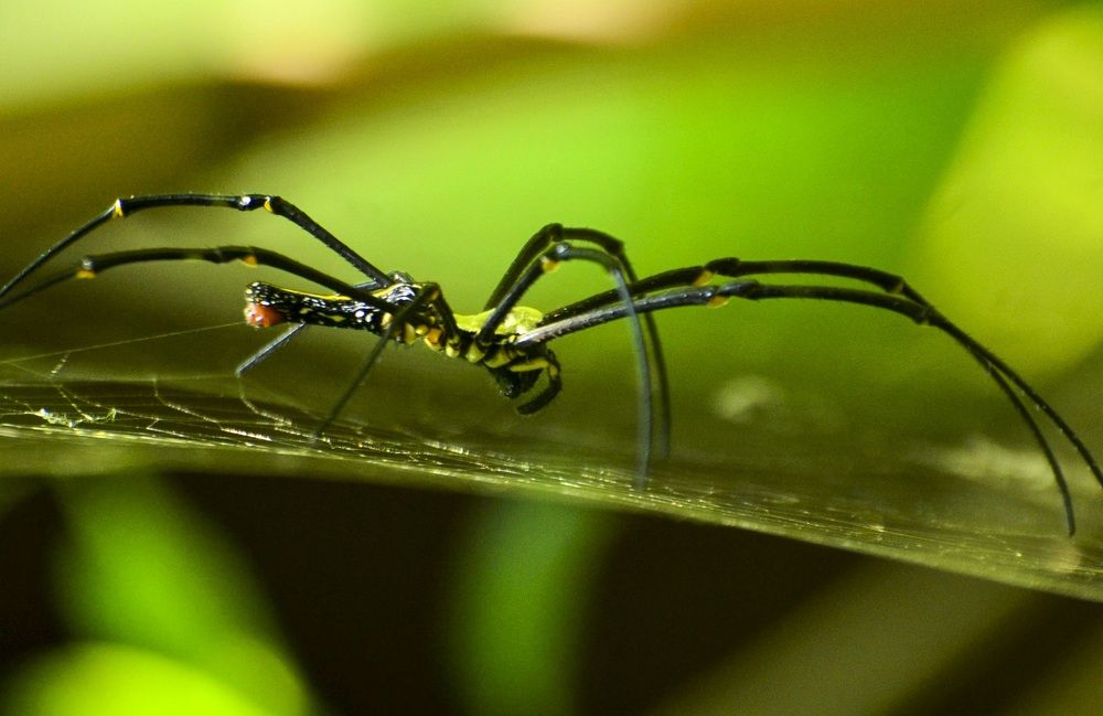 Photograph by Mathew Nishanth A