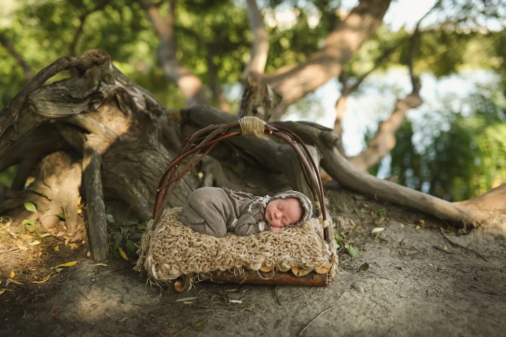 Photograph by Елена Бунаева