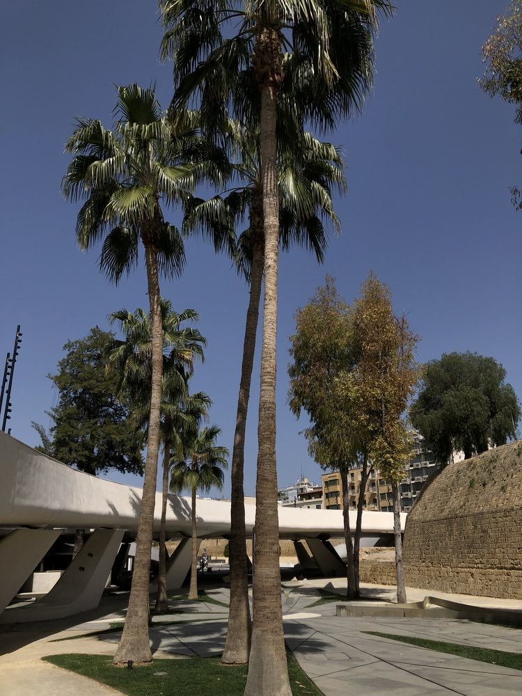 Photograph by Anna Poponina