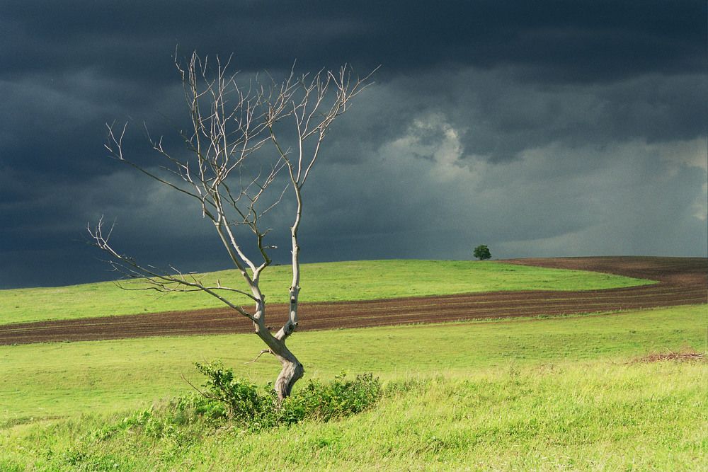 Photograph by Алик Хасанов