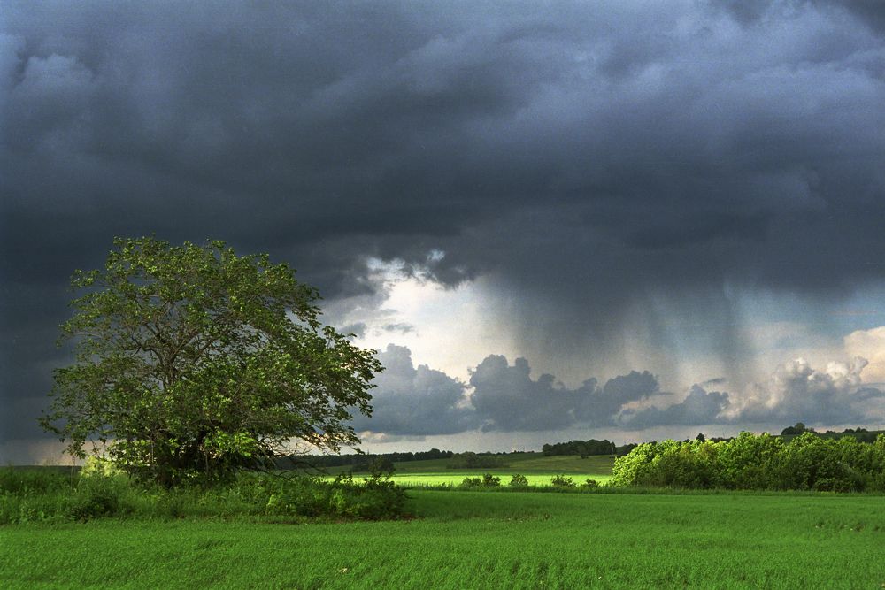 Photograph by Алик Хасанов