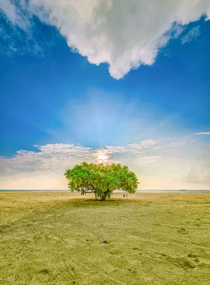 Photograph by Сергей Кесаев