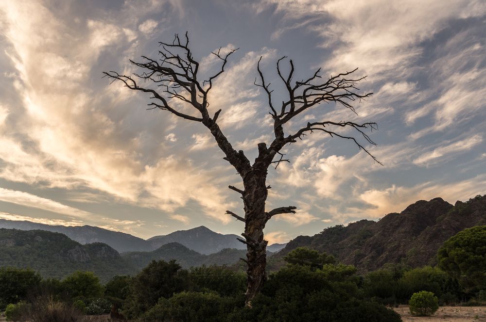 Photograph by Виктор Петров