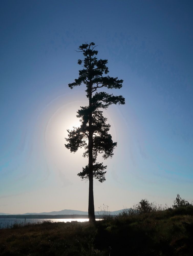 Photograph by Нина